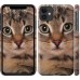 Чехол Полосатый котик для iPhone 11