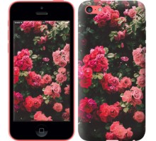 Чехол Куст с розами для iPhone 5c