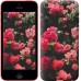 Чехол Куст с розами для iPhone 5c