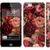 Чехол Цветущие розы для iPhone 5c