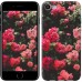 Чехол Куст с розами для iPhone 8 (4.7)