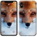 Чехол Рыжая лисица для iPhone XS (5.8)