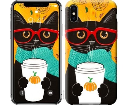 Чехол Осенний кот для iPhone XS Max